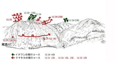 30.12-3イヌワシ地図