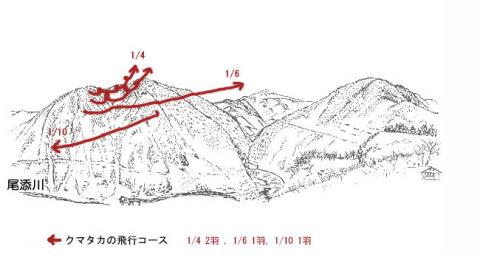 3101-1イヌワシ地図