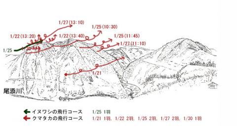 1901-3イヌワシ地図