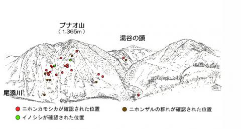 サル地図3012-2