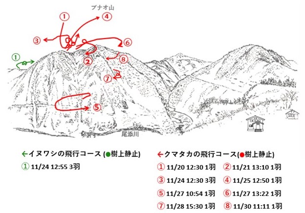 イヌワシ地図r611-1