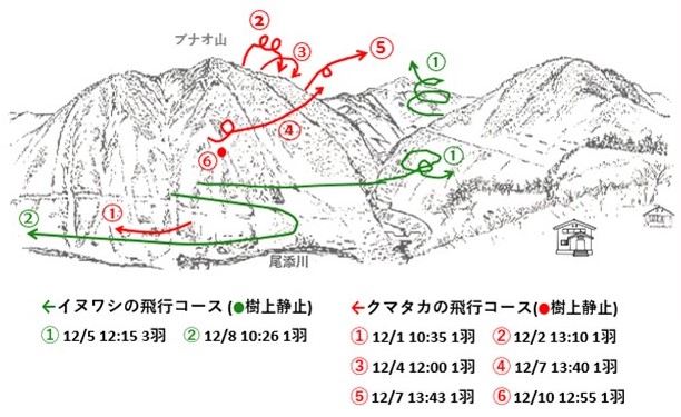 イヌワシ地図r612-1