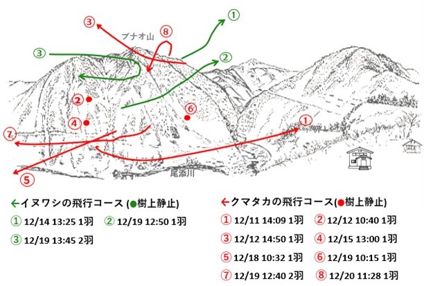 イヌワシ地図r612-2