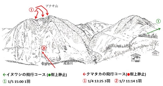 イヌワシ地図r701-1