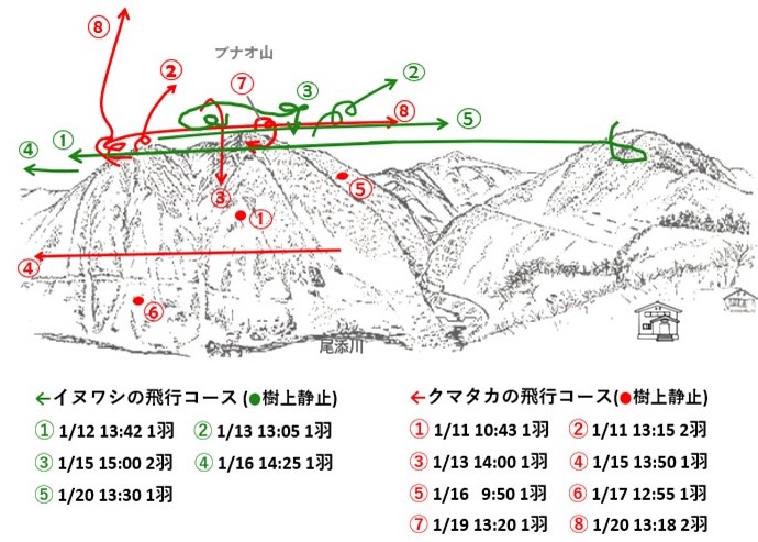 イヌワシ地図r701-2