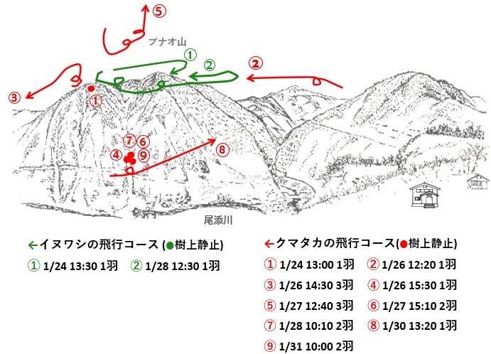 イヌワシ地図r701-3