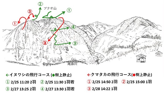 イヌワシ地図r702-3