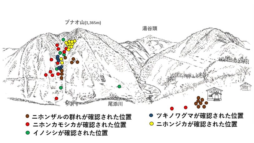 サル地図r611-1