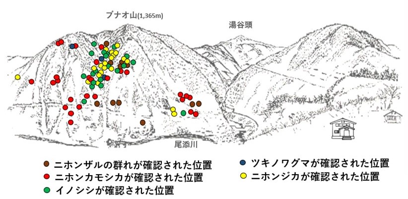 サル地図r612-1