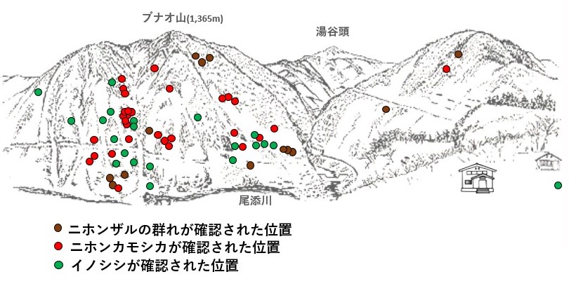 サル地図r612-2