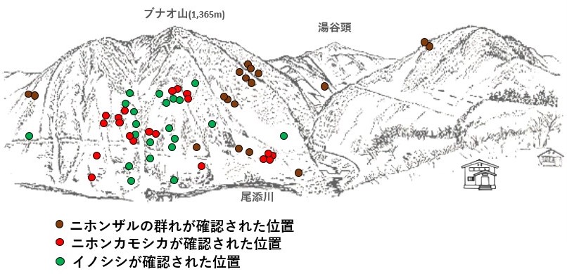 サル地図r612-3