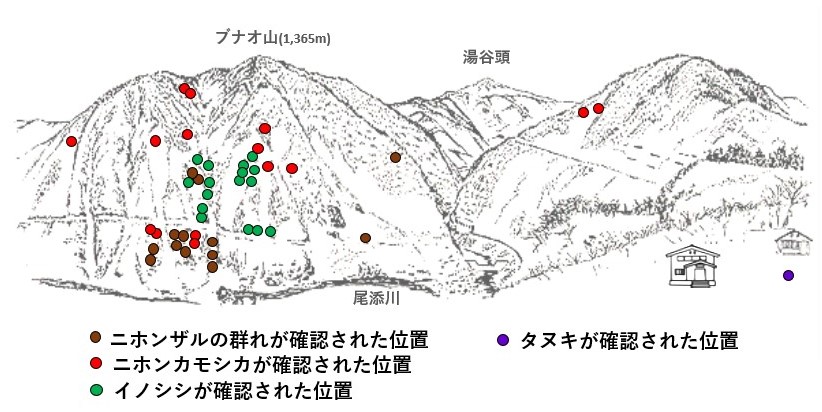 サル地図r701-1