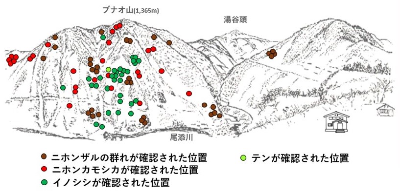 サル地図r701-2