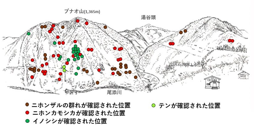 サル地図r701-3