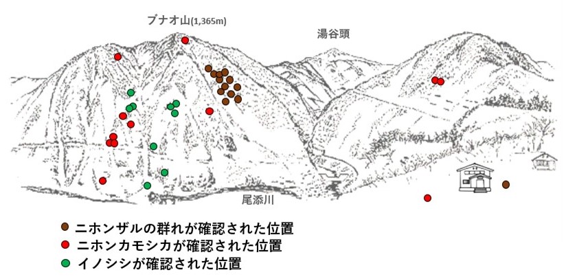 サル地図r702-1