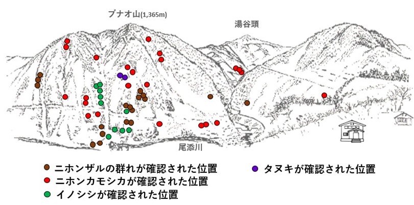 サル地図r702-2