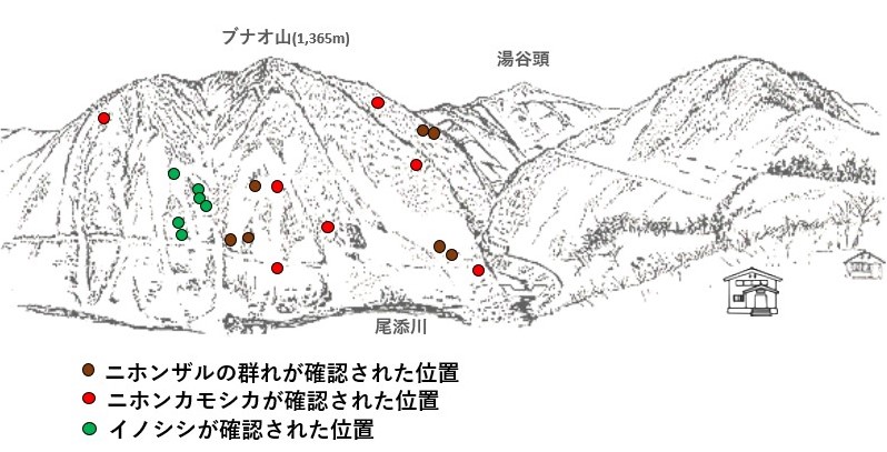 サル地図r702-3