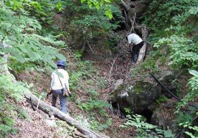 観察路修繕＿その三