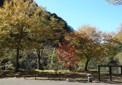 紅葉＿展示館前＿その二