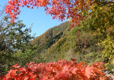 紅葉＿展示館前＿その三