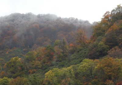 紅葉と雪＿その一