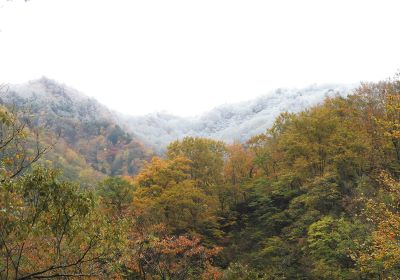 紅葉と雪＿その二