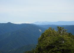 ホワイトロードから見た白川郷