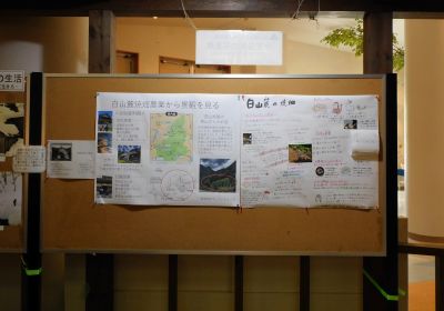 星稜大学