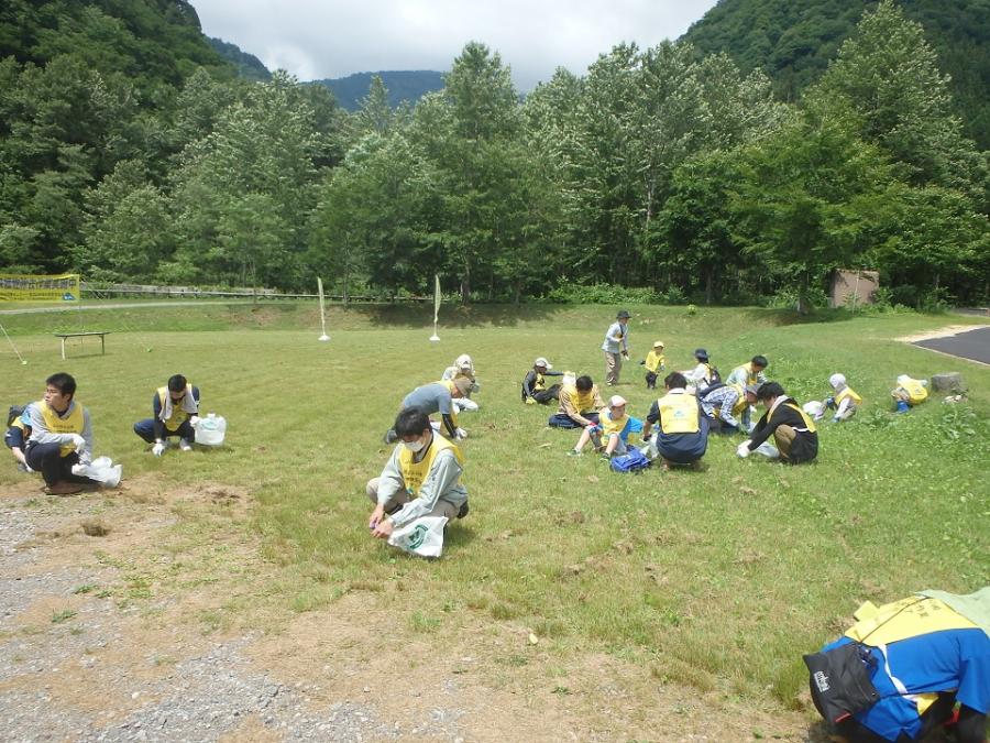 イベントによる除去活動