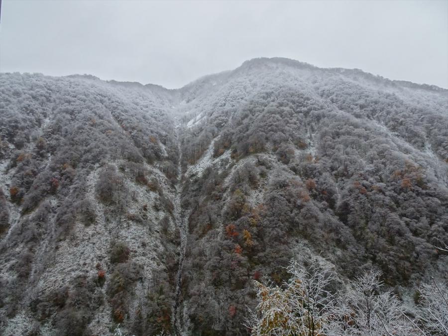 2024年11月29日_雪景色のブナオ山