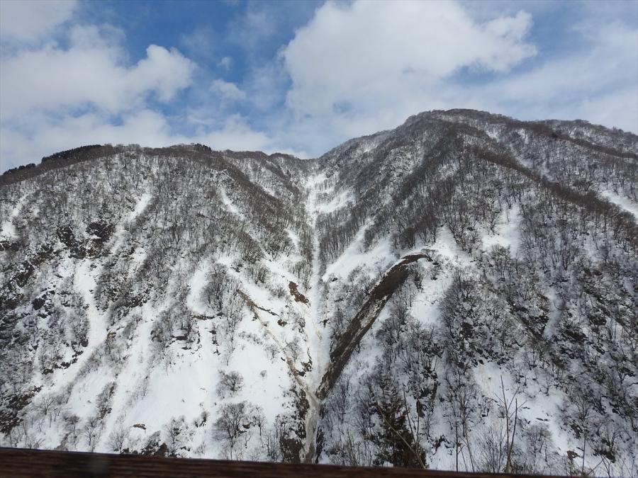 2026年2月5日ブナオ山斜面