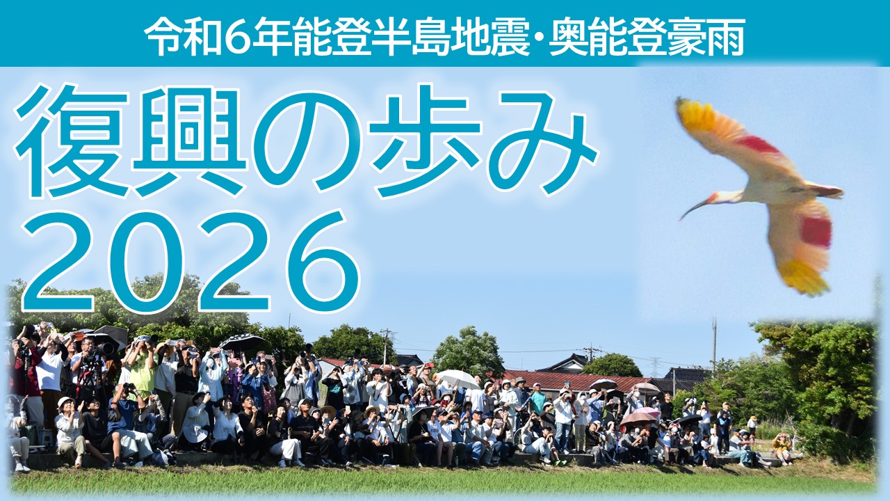 歩み動画2026