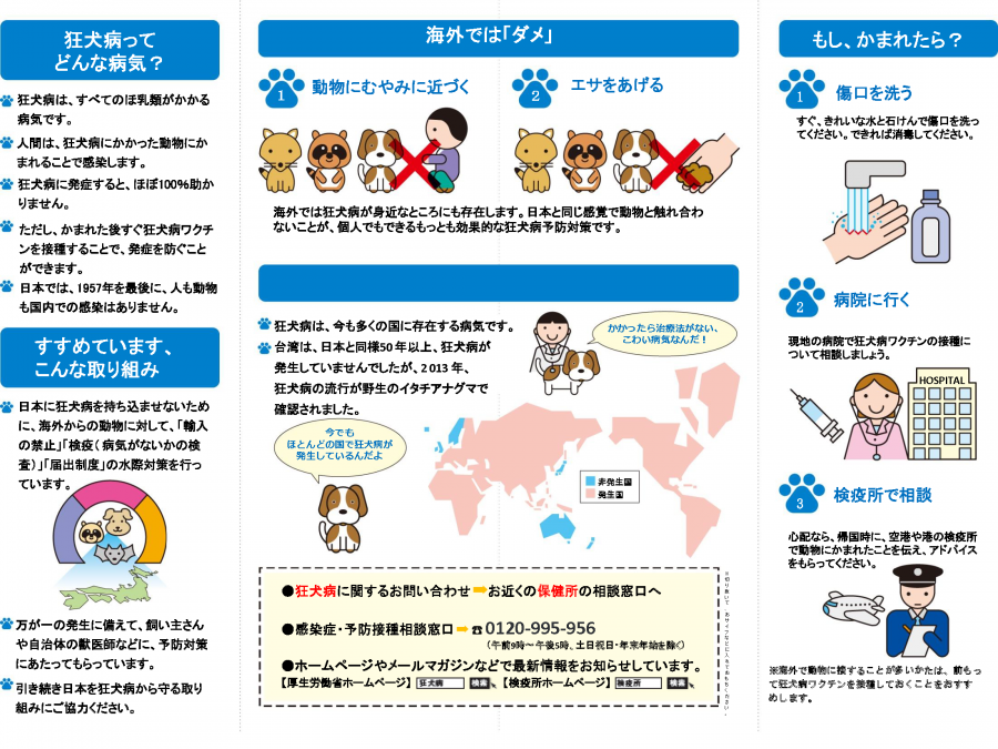 R8動物2