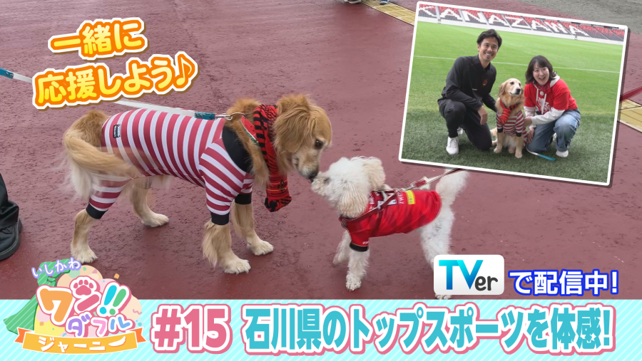 TVer用サムネイル6月