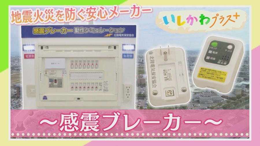 プラスR8年1月サムネイル