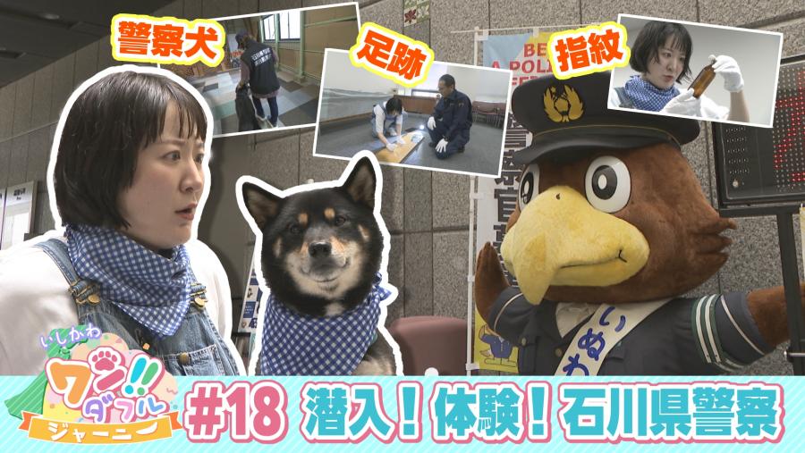 ワン!!ダフル_サムネイル