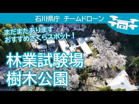 0406_drone8
