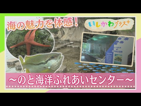 0707_plus