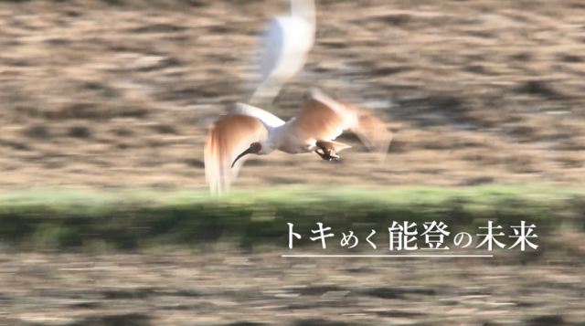 ときめく能登の未来動画サムネイル