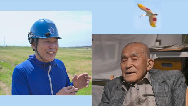 風化防止（トキ）