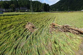 能登町柳田1