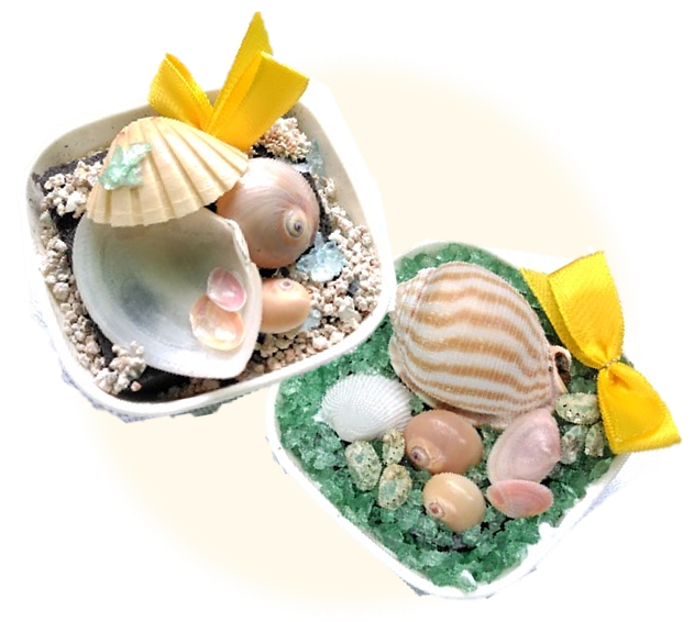 海を感じるデコレーション