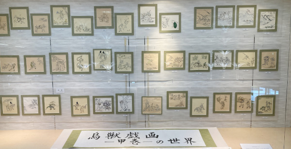 展示の様子