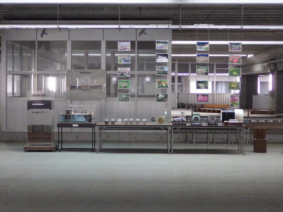 R7模型展示